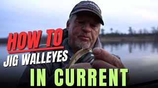 How to fillet Walleye  Walleye Cleaning [upl. by Yeldud]