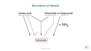 Biosynthesis of Nicotine [upl. by Kwasi81]