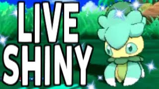 Shiny Fomantis LIVE REACTION Pokemon Sun and Moon Shiny Hunting Reaction [upl. by Annauqahs]