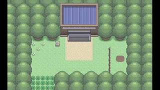 Pokemon HGSS  Route 2 Viridian Forest remix [upl. by Cindie892]