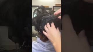 Como desenredar un cabello natural extremadamente enredadohair hairstyle detanglingnaturalhair [upl. by Annot]