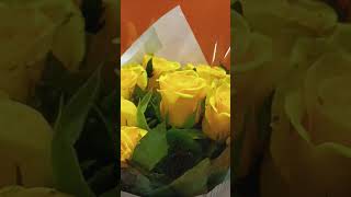 yellow roseswow beautiful shortsvideo [upl. by Eissed]