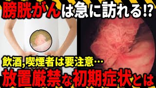 知らないと危険な膀胱癌の初期症状を10分で徹底解説！予防法やそもそもの症状とは…？【医師監修】 [upl. by Nauqat620]