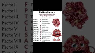 clotting Factors of Blood clotting Factors [upl. by Nimsaj511]