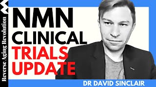 DAVID SINCLAIR quotNMN Clinical Trials Updatequot  Dr David Sinclair Interview Clips [upl. by Aileme]