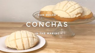 Homemade CONCHAS  Pan Dulce 10  IN THE MAKING [upl. by Etteinotna]