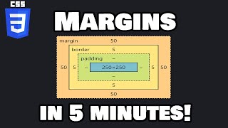 Learn CSS margins in 5 minutes ↔️ [upl. by Ner]