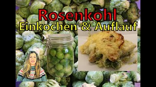 Rosenkohl ideales Wintergemüse Einkochen amp mein Lieblingsgericht Auflauf mit Kartoffeln  Hähnchen [upl. by Attenra889]