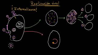 Replicación viral lítico y lisogénico  Khan Academy en Español [upl. by Ardnekahs]