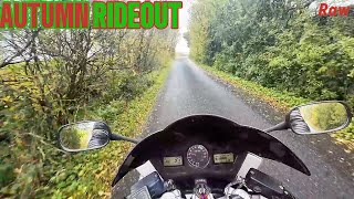 Honda VFR 800VTEC POV Pure Sound 4K [upl. by Ahsyek624]