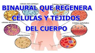 BINAURAL REGENERAR CÉLULAS Y TEJIDOS DEL CUERPO Y ESTIMULAR HORMONA DEL CRECIMIENTO PARA REJUVENECER [upl. by Harned]