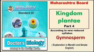 Kingdom plantae class 11 Biology part 4 Gymnosperm [upl. by Mat]