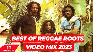 BEST OF REGGAE ROOTS MIX BY DJ HAVEX FT ISRAEL VIBRATION BURNING SPEARRICHIE SPICE RH EXCLUSIVE [upl. by Sillihp957]