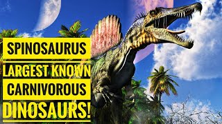 Spinosaurus  Largest known carnivorous dinosaurs Descriptions [upl. by Tade]