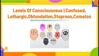 levels of consciousness  confusedlethargicobduntationstuprouscomatosPhysiotherapyKnowledge [upl. by Euqinor]