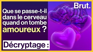 Que se passetil dans le cerveau quand on tombe amoureux [upl. by Yousuf]