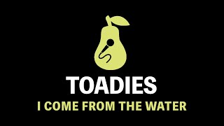 Toadies  I Come From The Water Karaoke [upl. by Anauqat]