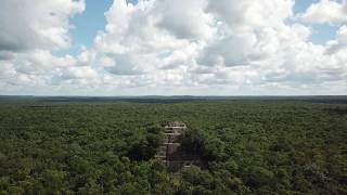 Calakmul ruins Mexico 4K Drone カラクムル遺跡 [upl. by Yrekcaz]