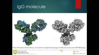 Immunological Testing [upl. by Idroj]