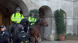 Police Stop for Girl kingsguard london tourist horse buckinghampalace royallondon history [upl. by Allemaj]