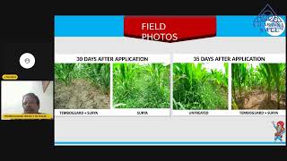 Maize  Post emergence herbicides and NACL Solutions [upl. by Anastice]