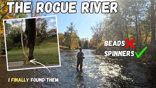 The Rogue River The PERFECT Spot for Salmon [upl. by Selie]