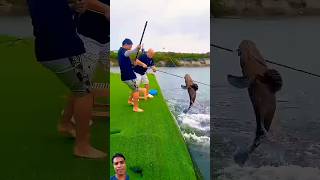 Village Traditional Bamboo Tools Polo Fishing Video Part300 fishingshorts​ fishing​ shorts [upl. by Ylrac377]