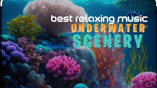 quotSubaquatic Serenity 8Minute Relaxation Journeyquot [upl. by Filbert913]