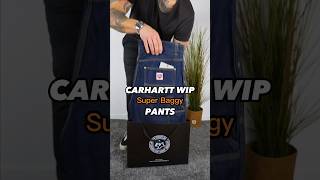 The BEST Carhart WIP Double Knee SPECIAL Pants 😮 Nash [upl. by Ioves723]