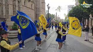 Pasacalles de Bandas en MARCO Sevilla 2024 [upl. by Phylis]