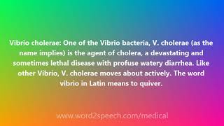 Vibrio cholerae  Medical Meaning and Pronunciation [upl. by Attenyt]