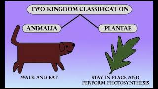 Prokaryotic and Eukaryotic Cell  Five Kingdom Classification System [upl. by Ursula]