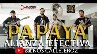 Alianza Efectiva  Papaya Official Video [upl. by Pyne]