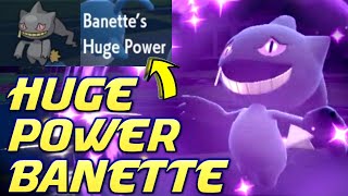 Huge Power Banette Pokemon Scarlet and Violet VGC 2023 Competitive Ranked Wifi Battle [upl. by Adnylem939]