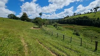 FAZENDA DE 115 HECTARES RICA EM ÁGUA A VENDA [upl. by Zaslow]