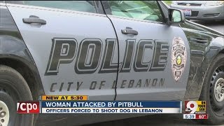 Pit bull attacks jogger police shoot kill dog [upl. by Eikcor]