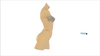 Senella engineered resorbable breast implant made by Additive Manufacturing [upl. by Alaikim]