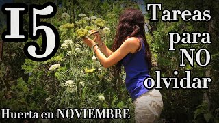 🌱15 TAREAS para NO olvidar de la HUERTA en NOVIEMBRE🌱💖 [upl. by Alial]