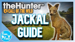 When And Where To Find Jackals On Vurhonga  theHunter  Call of the Wild [upl. by Modern]