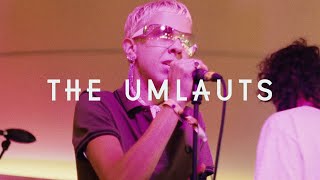 The Umlauts  Sweat Green Man Festival  Sessions [upl. by Lien]