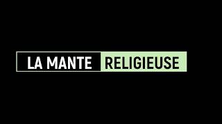 LA MANTE RELIGIEUSE [upl. by Uri]