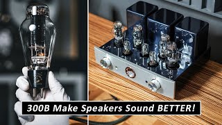 KILLER Affordable Tube Integrated Amplifier For Audiophile Home Sound Systems [upl. by Ver]