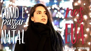 COMO É O NATAL AMERICANO  CHICAGO COMPRINHAS E VLOG [upl. by Annaoy]