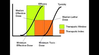 Therapeutic Index amp Therapeutic Window [upl. by Idel933]