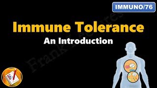 Immune tolerance  An introduction FLImmuno76 [upl. by Gilli]