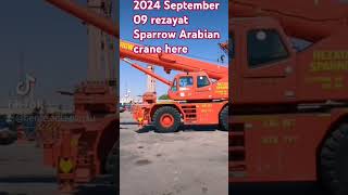 2024 September 09 rezayat Sparrow Arabian crane here [upl. by Nerraf]