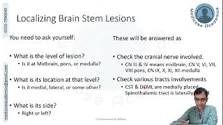 Locating Brainstem Lesion [upl. by Hilaire]