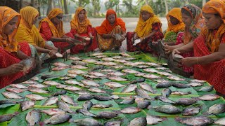 Tilapia Fish Curry  Village Ladies Cutting Huge Tilapia Fish amp Cooking Fish Curry to feed Villagers [upl. by Amluz]