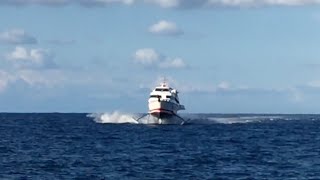 Italian hydrofoils aliscafi  Snav Alilauro Siremar [upl. by Araccat447]