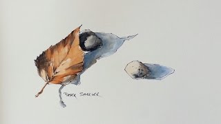 Line and wash Watercolor demonstration How to paint a leaf and shadows [upl. by Ycrem]